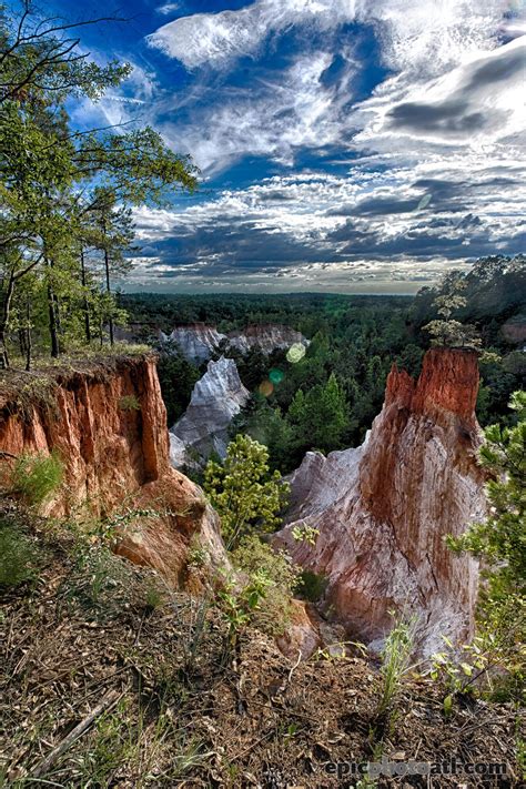 "The Little Grand Canyon", Providence Canyon, Georgia [OC][1397*2096 ...