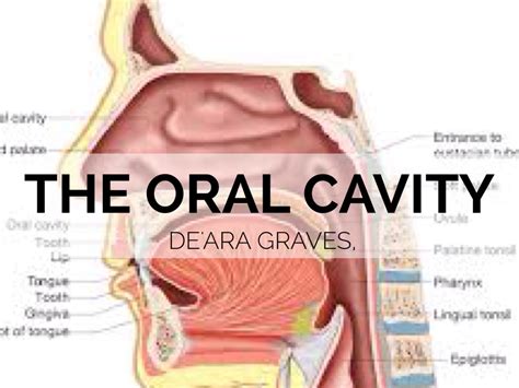 THE ORAL CAVITY PRESENTATION by Dee Geezy