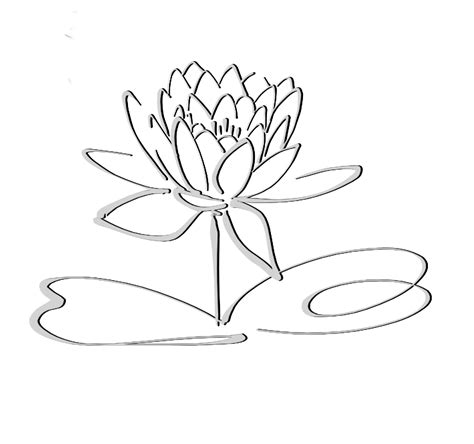 Lotus Flower Pencil Drawing at GetDrawings | Free download