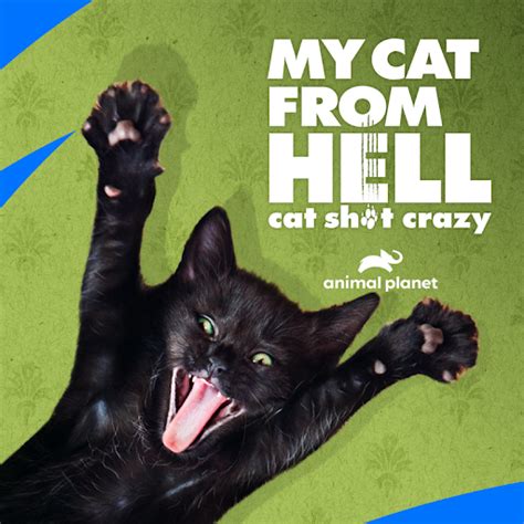 My Cat from Hell - TV on Google Play