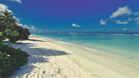 maldives 2023 (15) - AntonAir