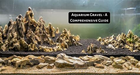 Aquarium Gravel: The ULTIMATE Guide