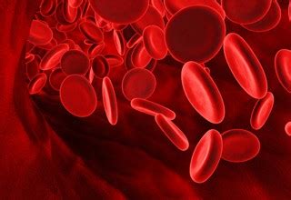 Macrocytosis | Medical Point