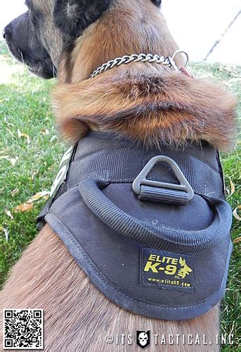 Flickriver: Photoset 'Elite K-9 Tactical Patrol Harness' by ITS Tactical