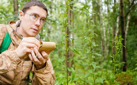 Online Master's in Environmental Sciences