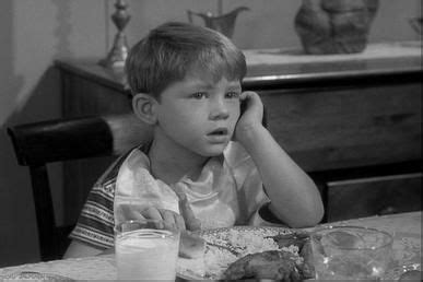 "Opie Taylor" from The Andy Griffith Show (CBS, 1960 - 1968), played by ...