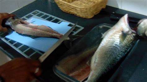 Filleting and Cooking Tailor (bluefish) - YouTube