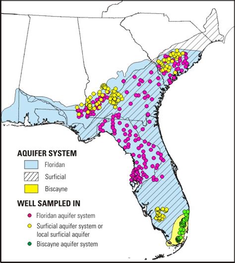 Fountains of Life: A Look at Florida Springs from Sacred Waters to Green Slime | State of Water ...