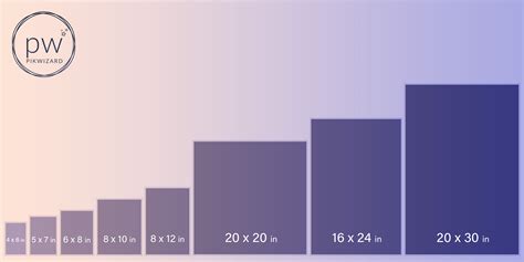 The Guide for Beginner - To Standard Photo Sizes