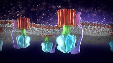 ATP Synthase Animation Stock Footage Video 4371524 - Shutterstock