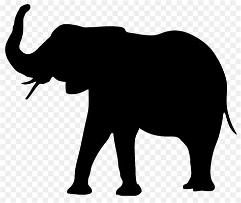 Asian elephant Portable Network Graphics Clip art Silhouette - png ...