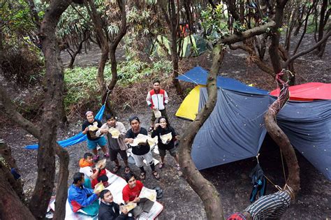 camping gunung papandayan - Info Taman Wisata Alam Gunung Papandayan ...