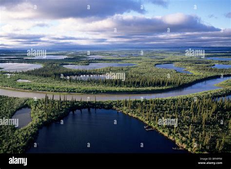 Mackenzie River Delta, NWT, Arctic Canada Stock Photo - Alamy