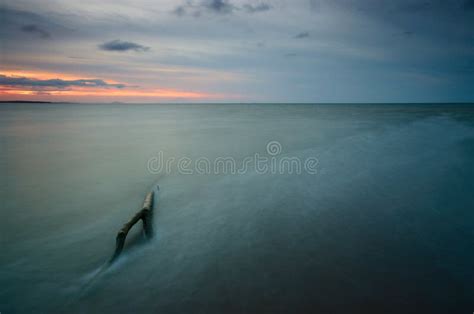 Mangrove Trees on the Beach at Sunset or Sunrise. Stock Image - Image of sunset, trees: 136943649