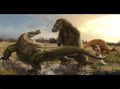 Is Megalania really extinct? - YouTube