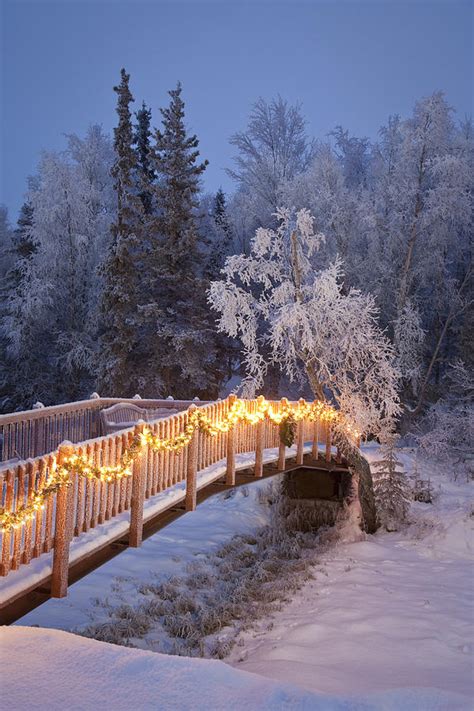 Bridge Decorated With Christmas Lights Photograph by Jeff Schultz ...