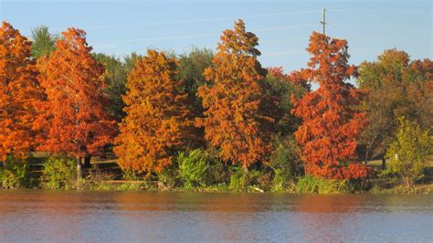 Lady bird lake (With images) | Lady bird lake, Park photos, Photo