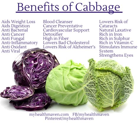 Cabbage Health Benefits - Angel Vegetable