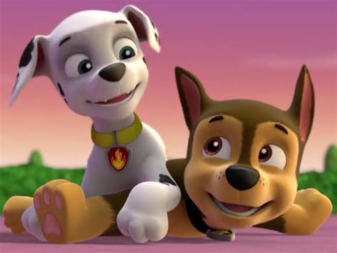 Marshall & Chase | Paw Patrol Relation Ship Wiki | FANDOM powered by Wikia