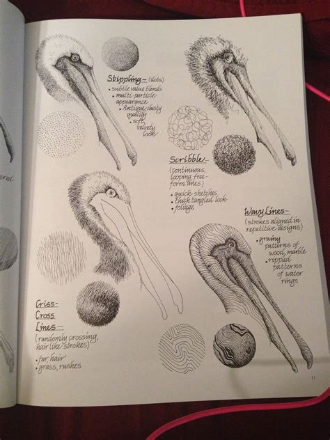 Shading examples | Sketchbook assignments, Sketch book, Art lessons