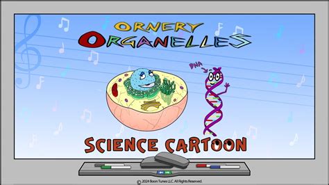 Cell Organelles | SCIENCE CARTOON | - YouTube