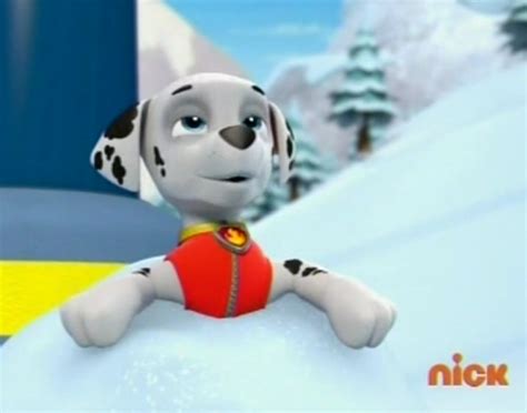 Marshall, the Dalmatian - PAW Patrol Photo (40125820) - Fanpop