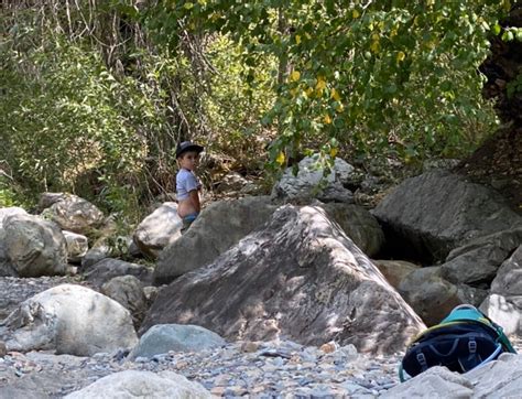 Potty Training on Trail: The Art of Getting Your Kids to Go Outside ...