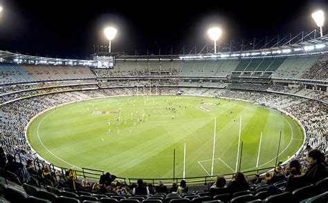 Cricket stadium LED lighting buying guidance | Green Light