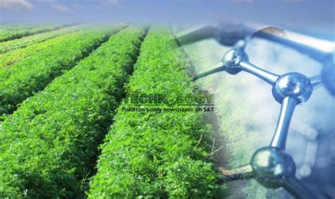 Nano silver is used to preserve and treat diseases in agriculture