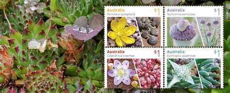 Inside the wonderful world of Australian succulents - Australia Post