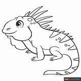 Iguana Coloring Page  Easy Drawing Guides sketch template