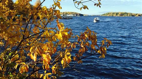 Finland’s Saimaa lake region navigates towards UNESCO status – Eye on ...