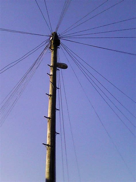 The Telegraph Pole Appreciation Society – What it says