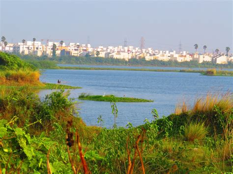 Perumbakkam Lake (Waterbodies of Chennai - 53)