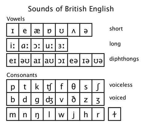 Lesson 3 – Vowels /ɑ/, /ɔ/, /ʊ/, /u/, /ʌ/, /ə/ – American English ...