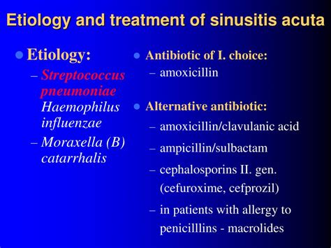 PPT - THE GENUS STREPTOCOCCUS PowerPoint Presentation - ID:523672