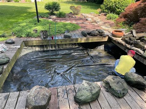 How to Clean a Pond (Without Draining It or Killing Your Fish)