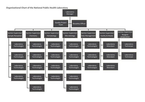 40 Organizational Chart Templates (Word, Excel, PowerPoint)