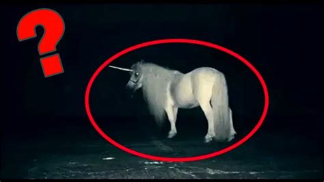 Top 5 mythical creatures caught on camera | mysterious unknown animals ...