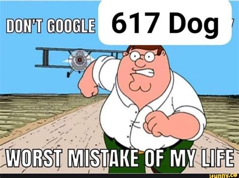 617 Dog I WORST MISTAKE OF MY LIFE - iFunny