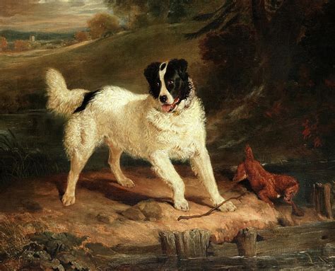 Newfoundland dog and Terrier at a stream Painting by Sir Edwin Henry Landseer | Fine Art America