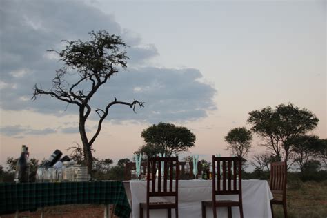 Dinner in the African Bush | Cawston Wildlife Estate