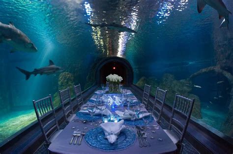 Adventure Aquarium Wedding Venue in Philadelphia | PartySpace