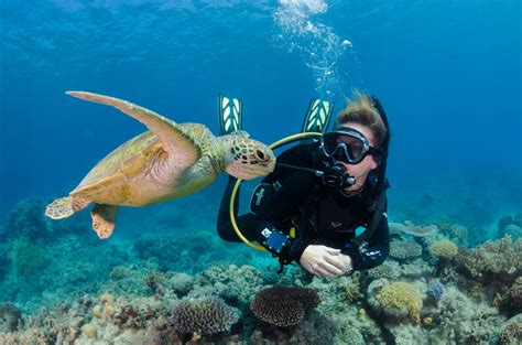 Great Barrier Reef Tour | Scuba Dive & Snorkel Tour | 3 Reef Sites
