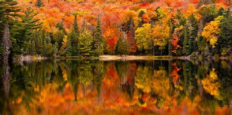 2021's Best States to Visit This Fall - LawnStarter Blog