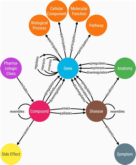 How to reveal new connections in a knowledge graph with link prediction ...