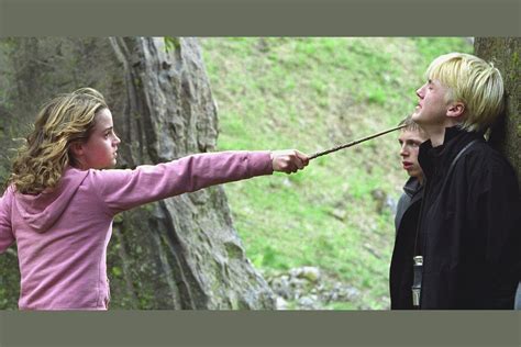 What Is Your 'Harry Potter' Wand Made From?