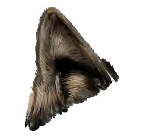 Wolf Ears Png Wolf Ears Transparent - Clip Art Library