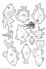 Coloring Pages Of Fish sketch template