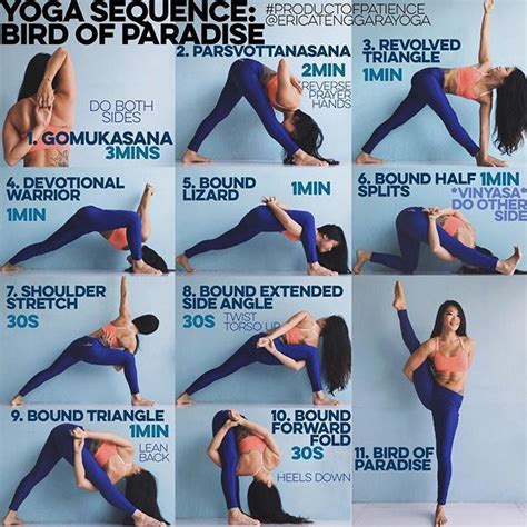 YOGA SEQUENCE: BIRD OF PARADISE Warm up: Sun Salutation A&B x5 each ...